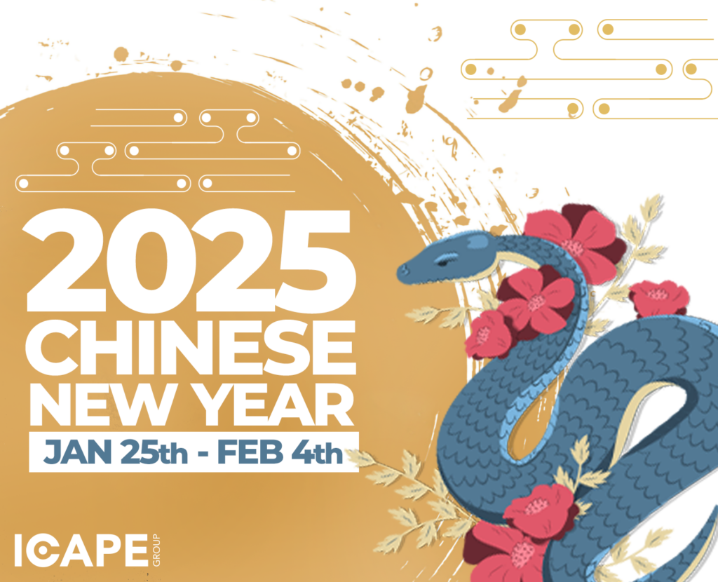 chinese new year 2025 public holiday in china